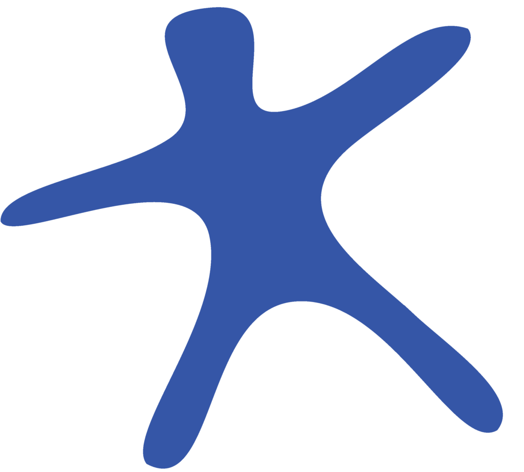 C3SC Watermark logo